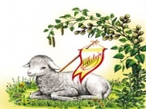 grafika_17