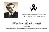 grafika