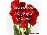 grafika_66
