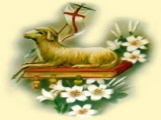 grafika_9